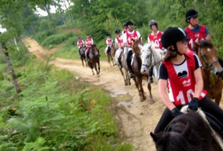 Découvrez la cavalerie